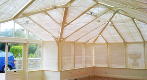 French Pinoleum