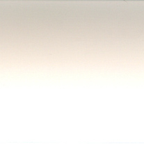 classic white