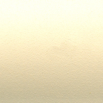 creamy apricot