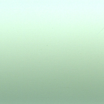 peppermint